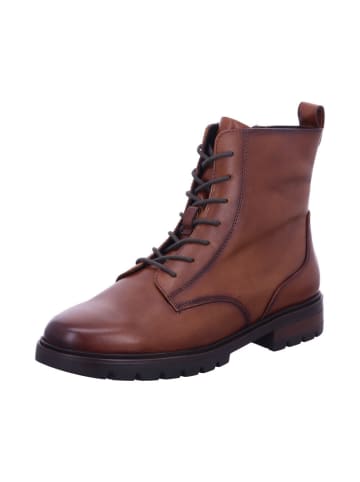 Ara Shoes Stiefelette CAMBRIDGE in COGNAC/COGNAC