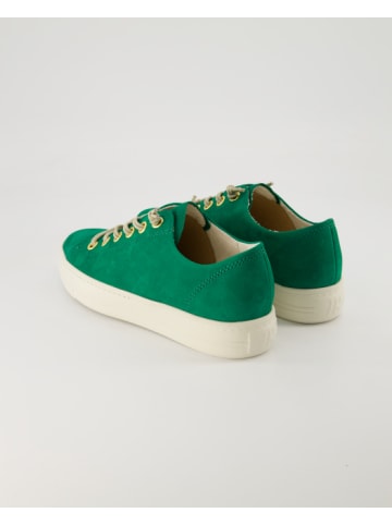 Paul Green Sneaker in Grün