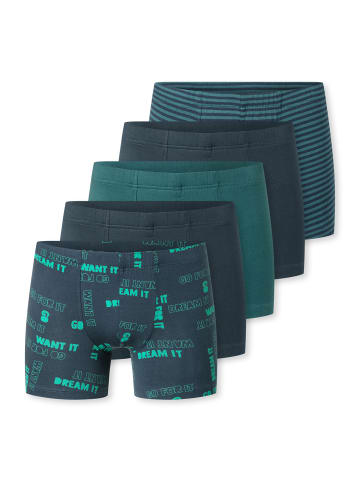 Schiesser Trunk 955 Multi in sortiert 12