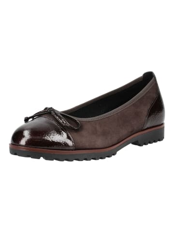 Gabor Ballerinas in Mocca