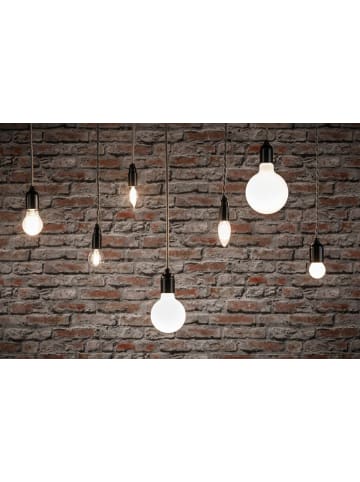 paulmann Filament 230V LED Globe F