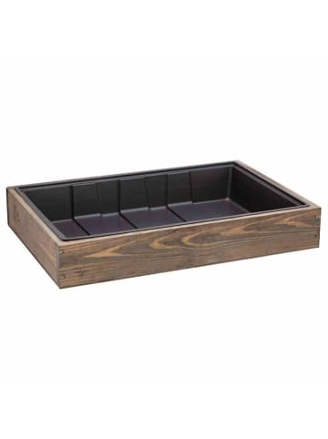 Siena Garden Anzuchtvollholzkiste 24er Topfplatte, 35x24x6 cm in Grau/Braun in Grau/Braun