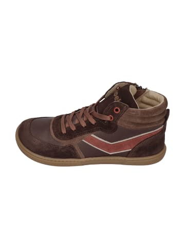 KOEL Sneaker High DANISH CLASSIC in braun