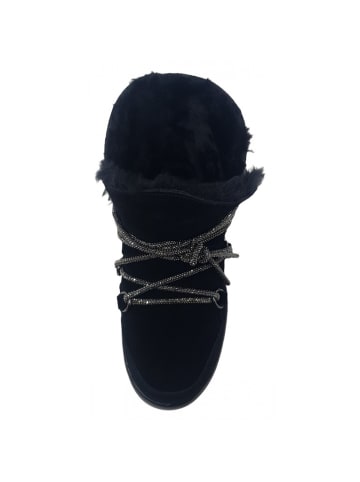 Cafe Noir Kurzstiefel  in Schwarz