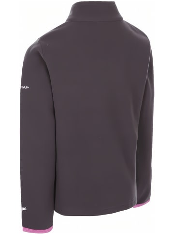 Trespass Kinder Fleecejacke/Fleecepullover in Grau