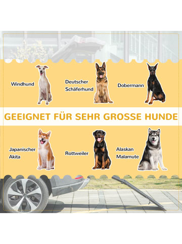 Pawhut Hunderampe Schwarz 158L x 43,5B x 2,5H cm