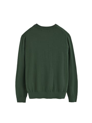 Polo Club Pullover in Warmes Grün