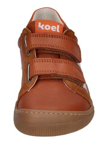 KOEL Sneaker Low DENIS NAPA NEW 07M031.101-551 in braun