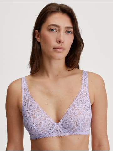Calida Spitzen-BH in orchid petal