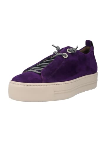 Paul Green Sneaker Low in Lila