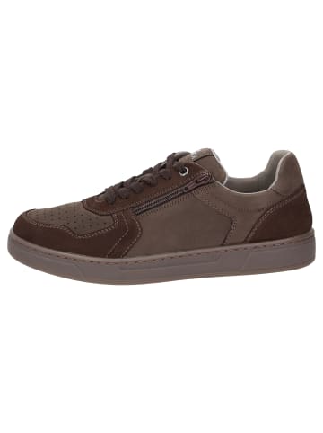 Sioux Sneaker Tertulio-700-H in dunkelbraun