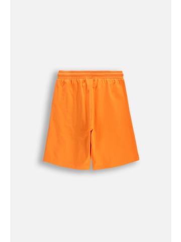 Coccodrillo Kurze Baumwollshorts in orange