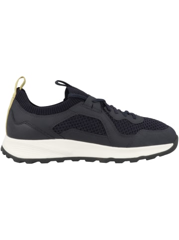 Geox Sneaker low U Terrestre A in blau