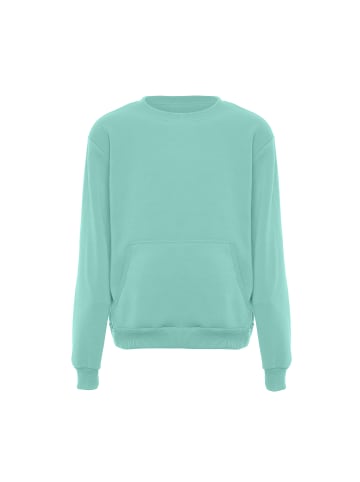 Colina Sweatshirt in Eisminze