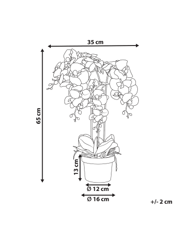 Beliani Kunstpflanze ORCHID in Grün/Weiß - (W) 35 x (H) 65 x (L) 35 cm
