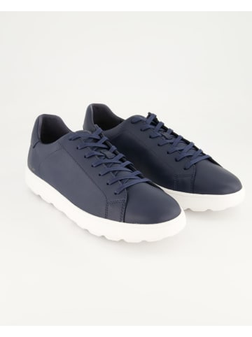 Geox Sneaker low in Blau