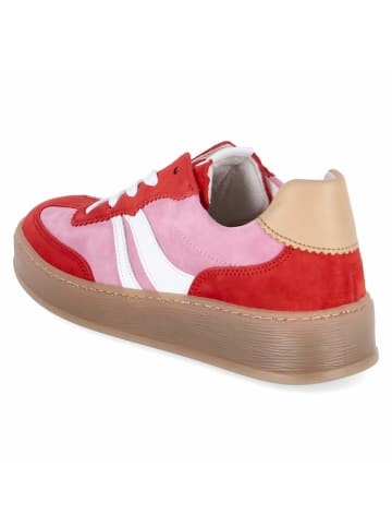 Gabor Schnürhalbschuh in rosa