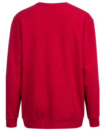 Boston Park Sweatshirt in rot