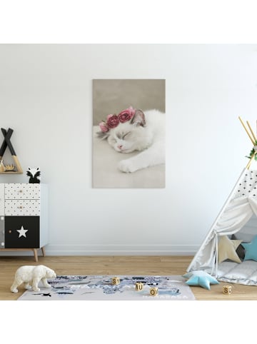 WALLART Leinwandbild - Schlafende Katze mit Rosen in Weiß