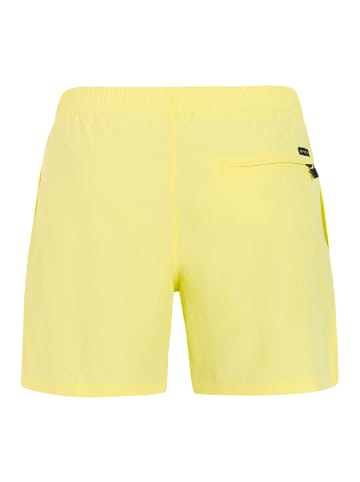 Protest " SPEED in Cherlock Lime