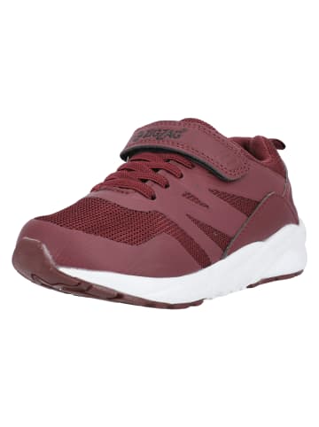 Zigzag Sneaker Wenfu in 5127 Marron