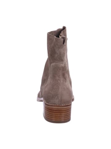 Paul Green Stiefeletten in antelope