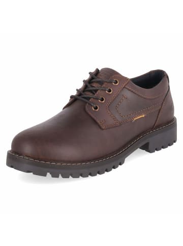 Camel Active Schnürhalbschuh in brown