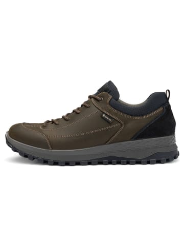 ara Sneaker Low in grün