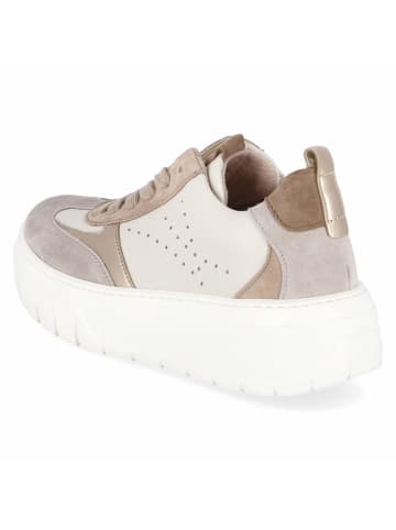 Gabor Schnürhalbschuh in beige