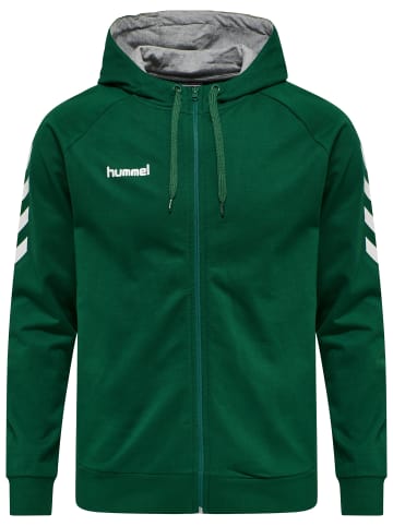 Hummel Hummel Cotton Kapuzenpullover Hmlgo Multisport Herren in EVERGREEN