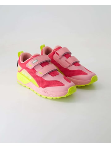 Primigi Klettschuhe in Rosa