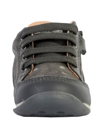Geox Sneaker Kind Each Grau