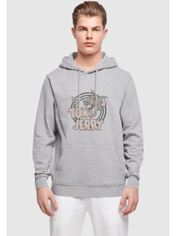 Absolute Cult Absolute Cult Kapuzenpullover in heather grey