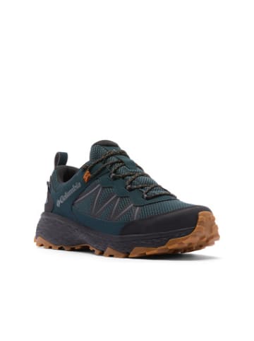 Columbia trekking Peakfreak in bunt