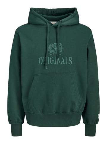 JACK & JONES PLUS Kapuzenpullover in Pine Grove
