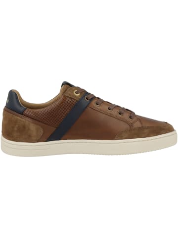 Pantofola D'Oro Sneaker low Vicenza Uomo Low in braun