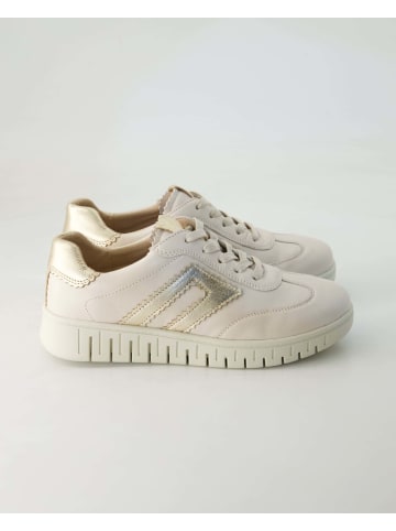 Terry Sneaker low in Beige