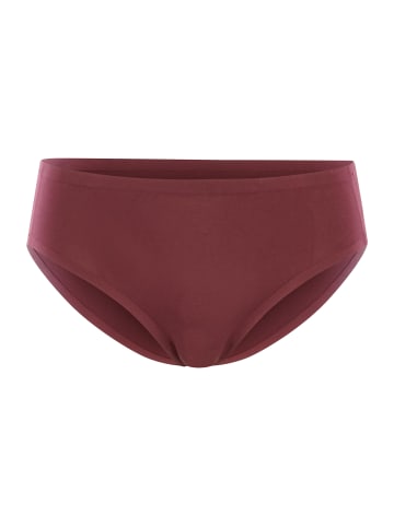 Royal Lounge Hipster Shorty Fit in Bordeaux