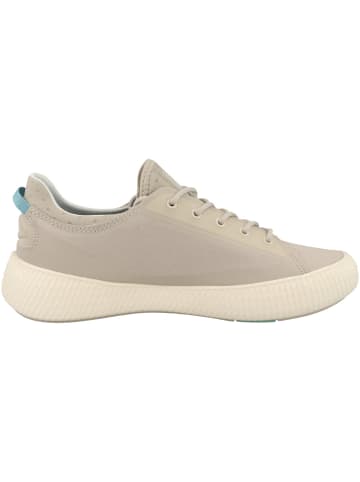 Palladium Sneaker low Pallanova Cvs in grau