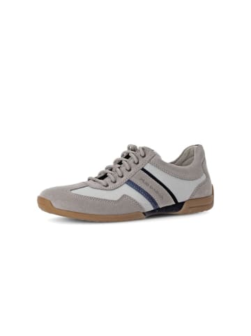 Pius Gabor Sneaker low in grau