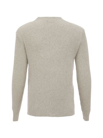 Usha Women Sweater in Beige
