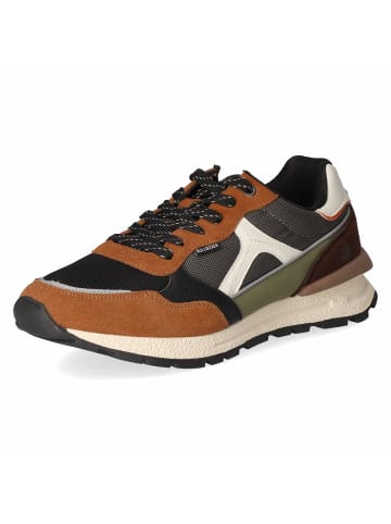 Bullboxer Sneaker in brown