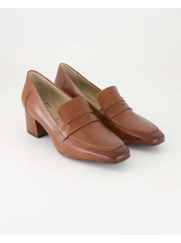 Terry Slipper in Braun