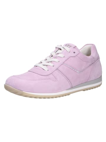 Paul Green Sneaker in rosa/pink