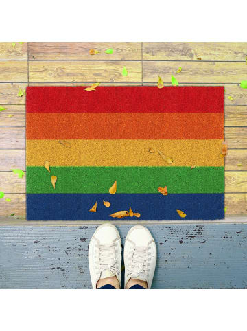 relaxdays Fußmatte "Regenbogen" in Bunt - (B)60 x (T)40 cm