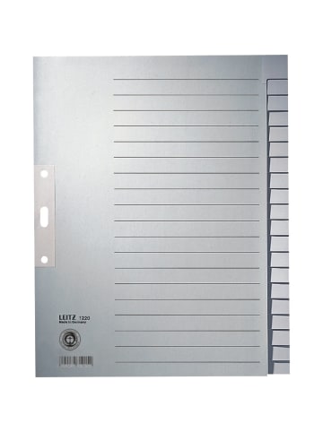 Leitz Register A4 blanko 100g/qm 20-teilig grau