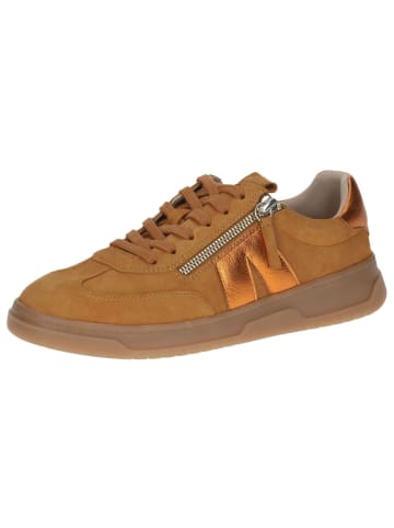 Caprice Sneaker in CURRY COMB