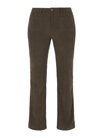 Usha Women Pants in Green