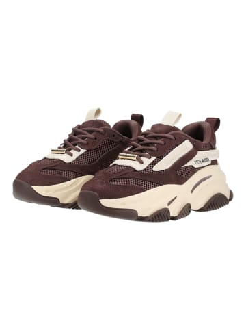 Steve Madden Sneaker POSSESSION-E in Braun/Weiß