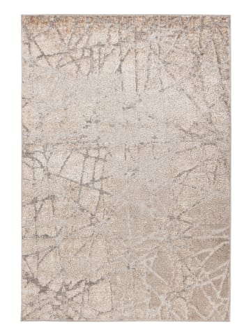 Vivorum Wohnzimmer Teppich – Kurzflorteppich Catcher 125 in silber - beige